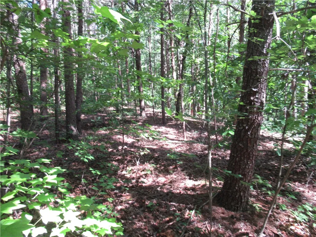 Property image 4 at 221 River Bliff Road, Cleveland, SC 29635