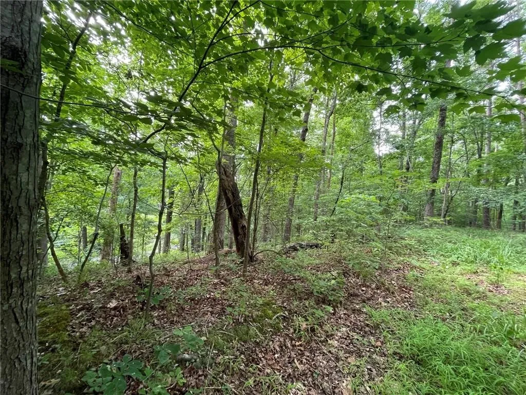 Property image 1 at Lot 614 Sundew Drive, Westminster, SC 29693