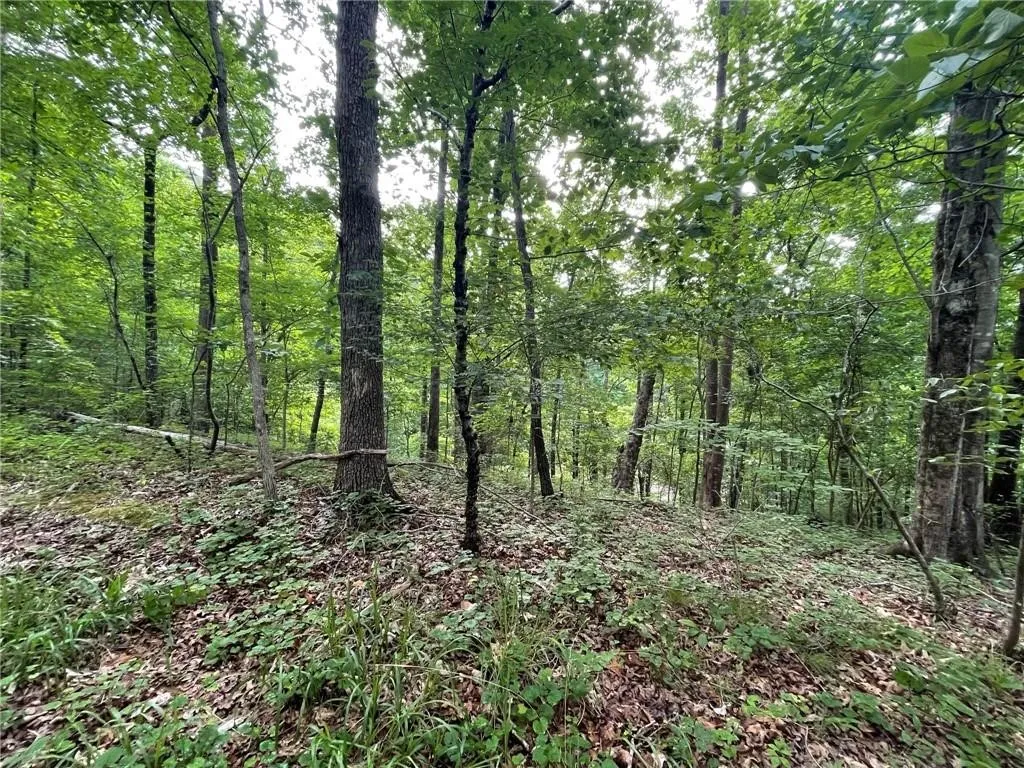 Property image 4 at Lot 614 Sundew Drive, Westminster, SC 29693