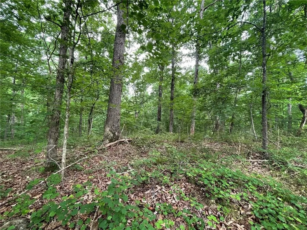 Property image 5 at Lot 614 Sundew Drive, Westminster, SC 29693