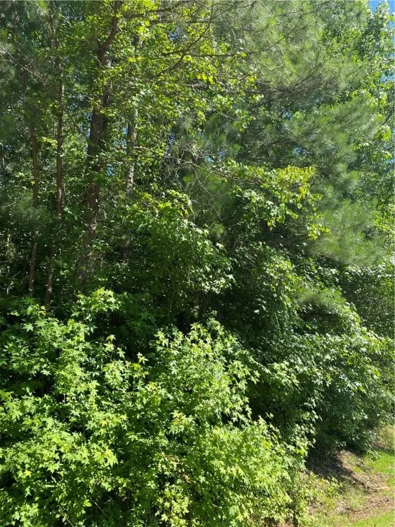 Property image 3 at 118 Augusta National Drive, Anderson, SC 29621