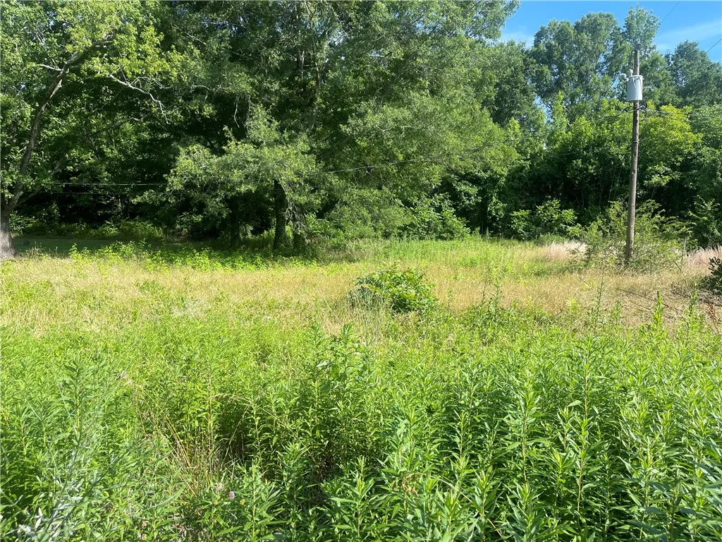 Abney Mill Vill, Belton Community