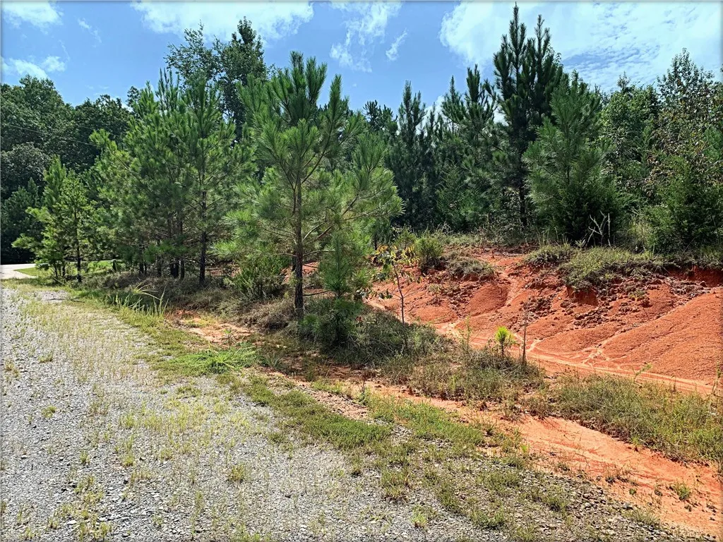 Property image 3 at 00 Osprey Way, Iva, SC 29655