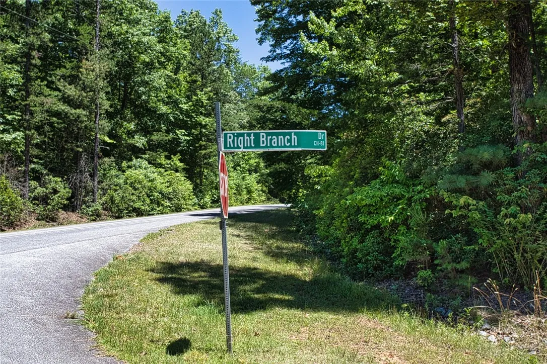 Property image 3 at Lot 13 Right Branch Drive, Mountain Rest, SC 29664