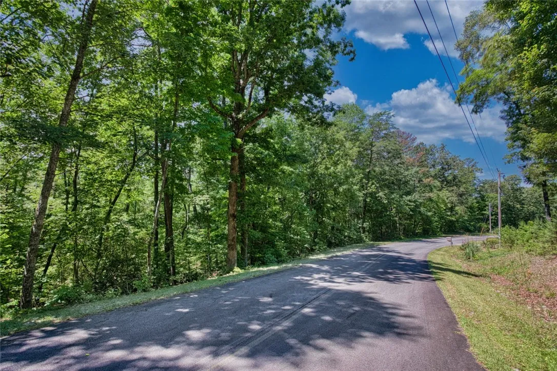 Property image 4 at Lot 13 Right Branch Drive, Mountain Rest, SC 29664