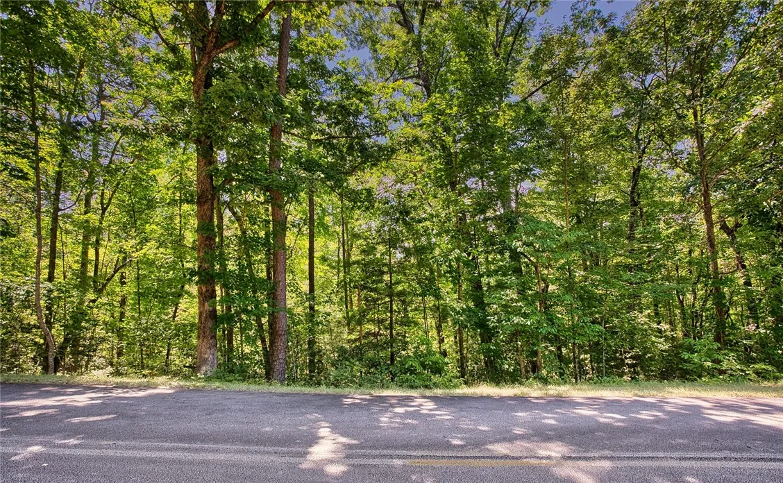 Property image 5 at Lot 13 Right Branch Drive, Mountain Rest, SC 29664