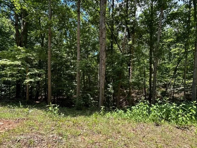 Property image 3 at Lot 81 Blue Ridge Court, Westminster, SC 29693