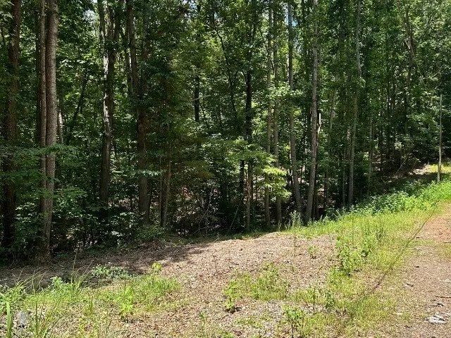Property image 4 at Lot 81 Blue Ridge Court, Westminster, SC 29693