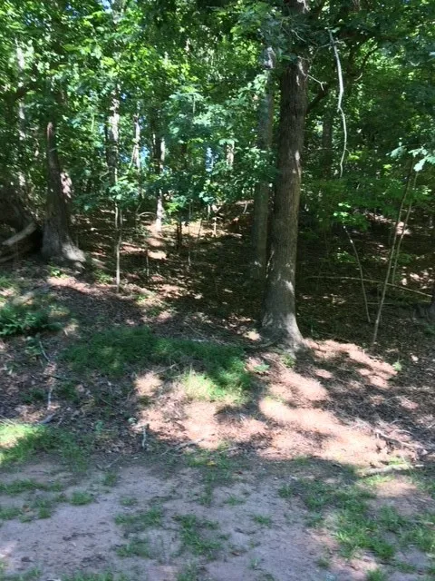 118 N Foxglove Road