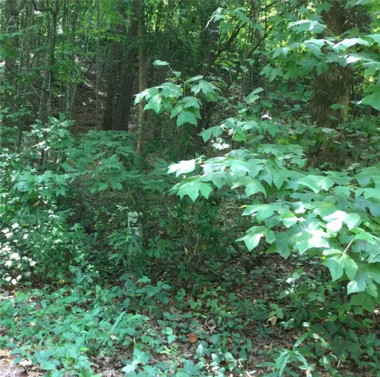 Property image 1 at Lot 31 Den Ridge Drive, Walhalla, SC 29691
