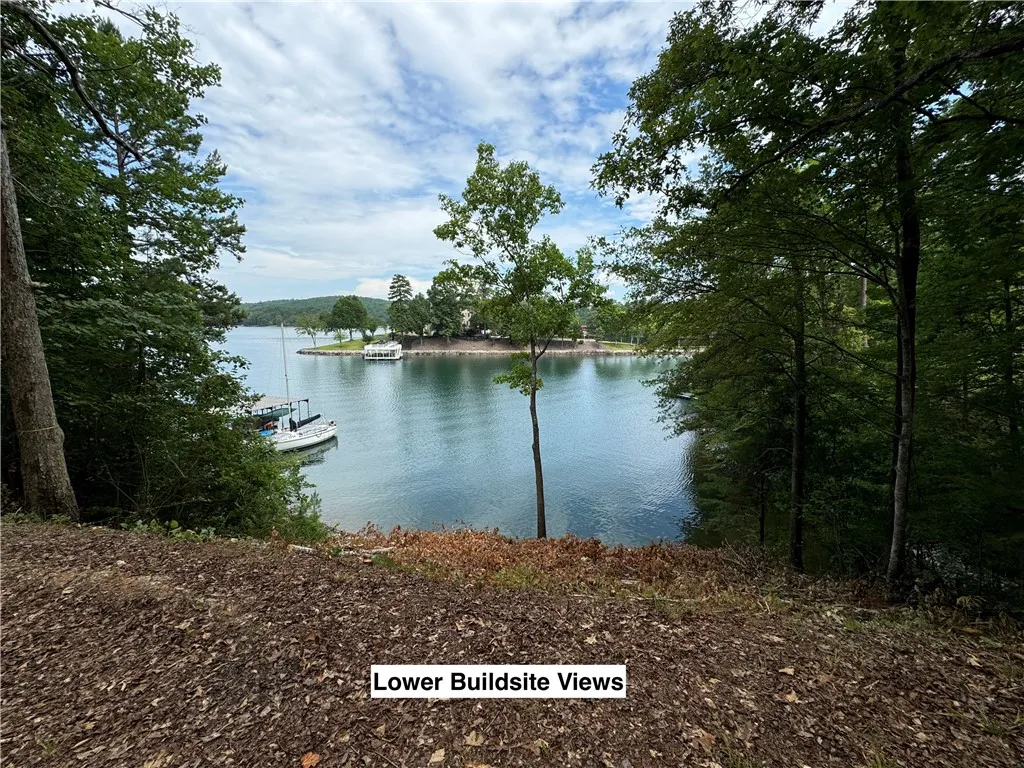 Property image 5 at 116 Yellowbear Way, Sunset, SC 29685
