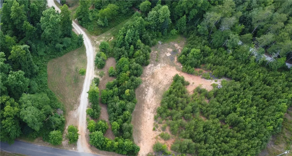 204 Laurel Hill Drive