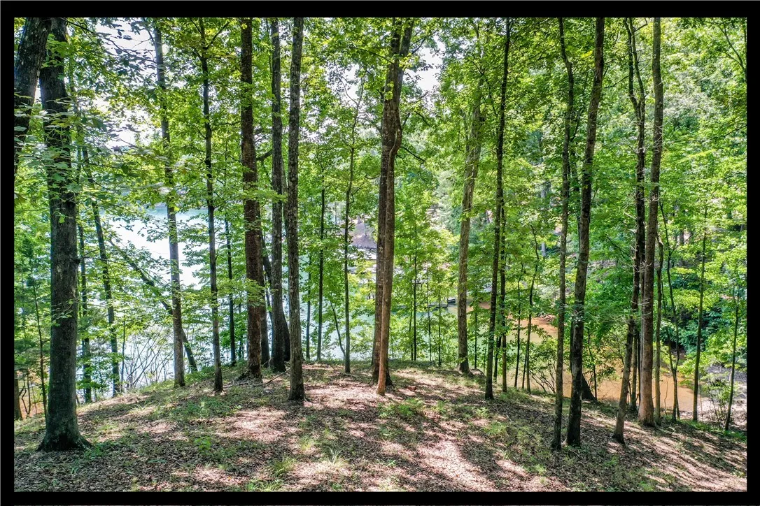 Property image 1 at Lot 62 Hearthstone Way, Salem, SC 29676