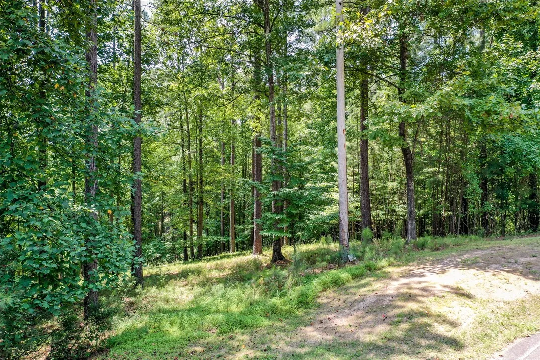 Property image 4 at Lot 62 Hearthstone Way, Salem, SC 29676