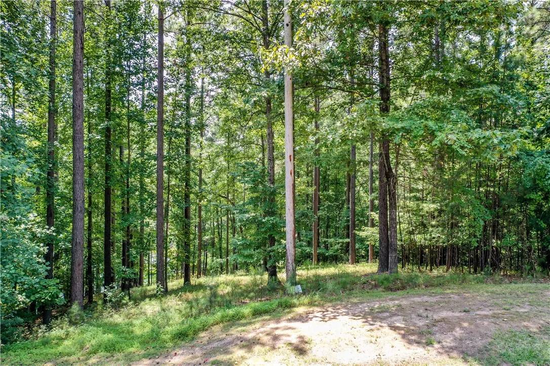 Property image 5 at Lot 62 Hearthstone Way, Salem, SC 29676