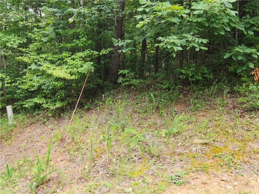 Property image 4 at Lot 28 Talons Ridge Road, Seneca, SC 29672