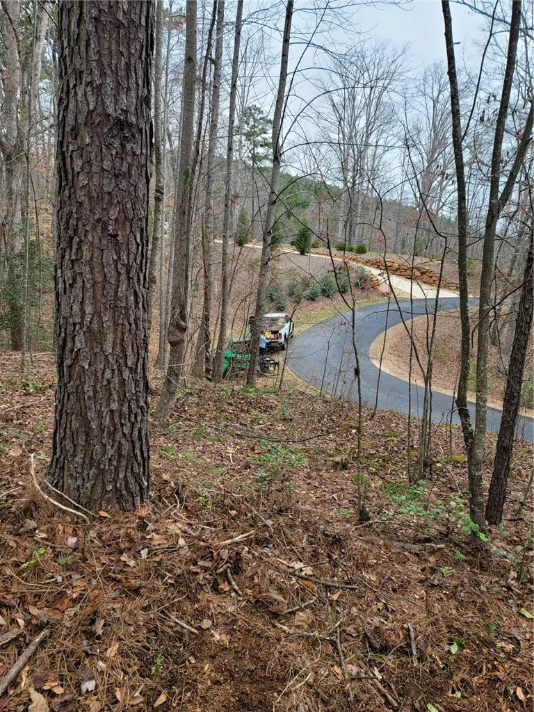 Property image 5 at Lot 28 Talons Ridge Road, Seneca, SC 29672