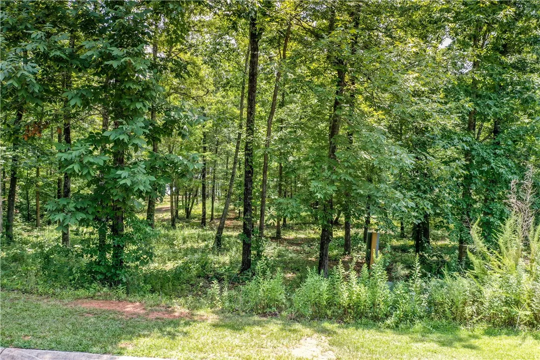 Property image 3 at Lot 10 Whisper Lane, Salem, SC 29676