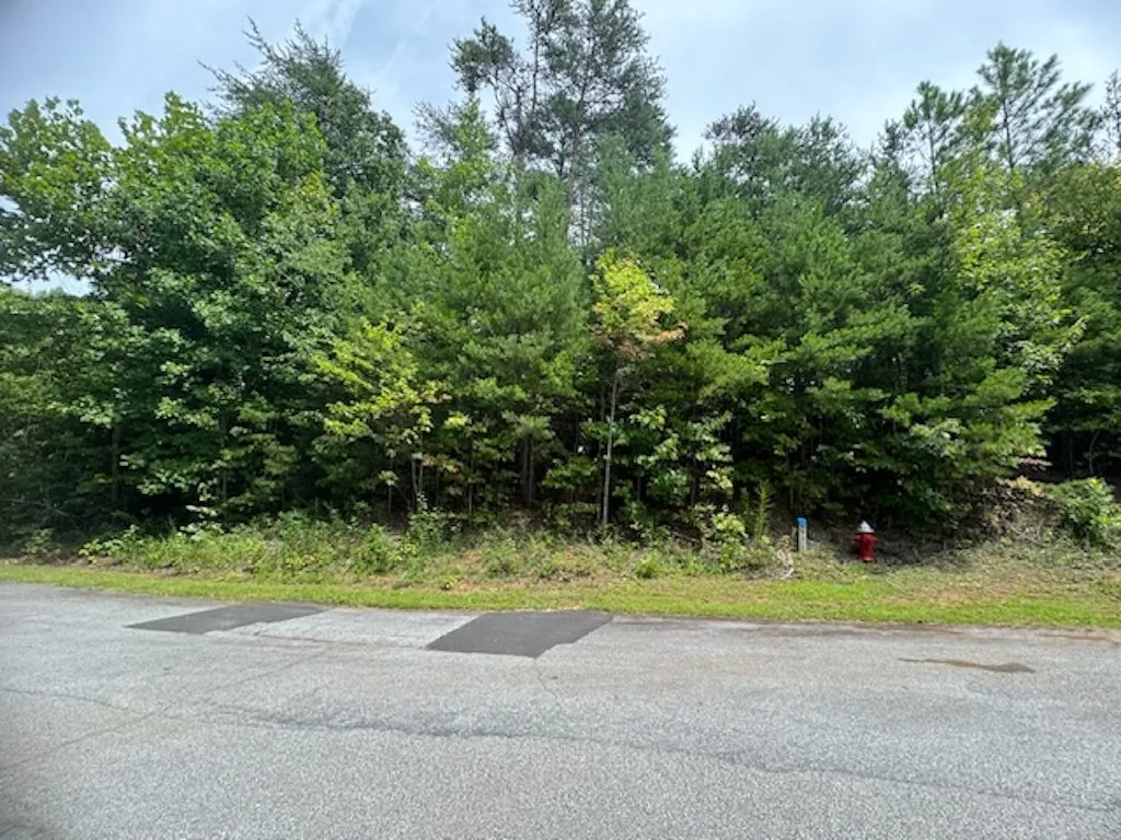 Property image 1 at 266 Jocassee Ridge Way, Salem, SC 29676