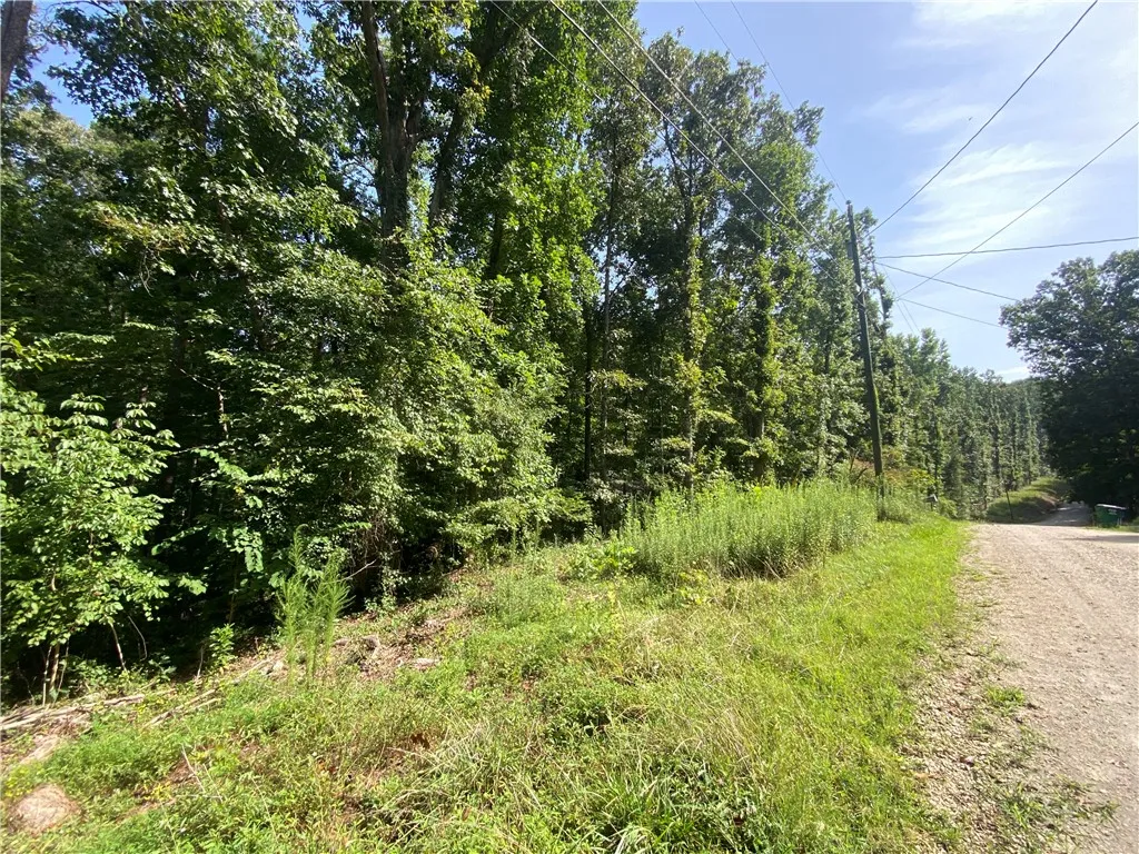 Property image 2 at 0 Lake View Drive, Lavonia, GA 30553