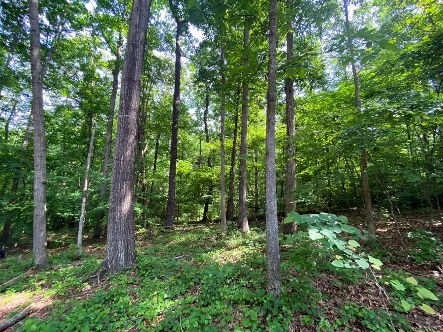 Property image 5 at 0 Lake View Drive, Lavonia, GA 30553