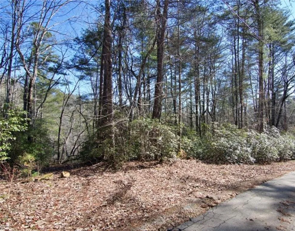 375 Gauley Falls Road