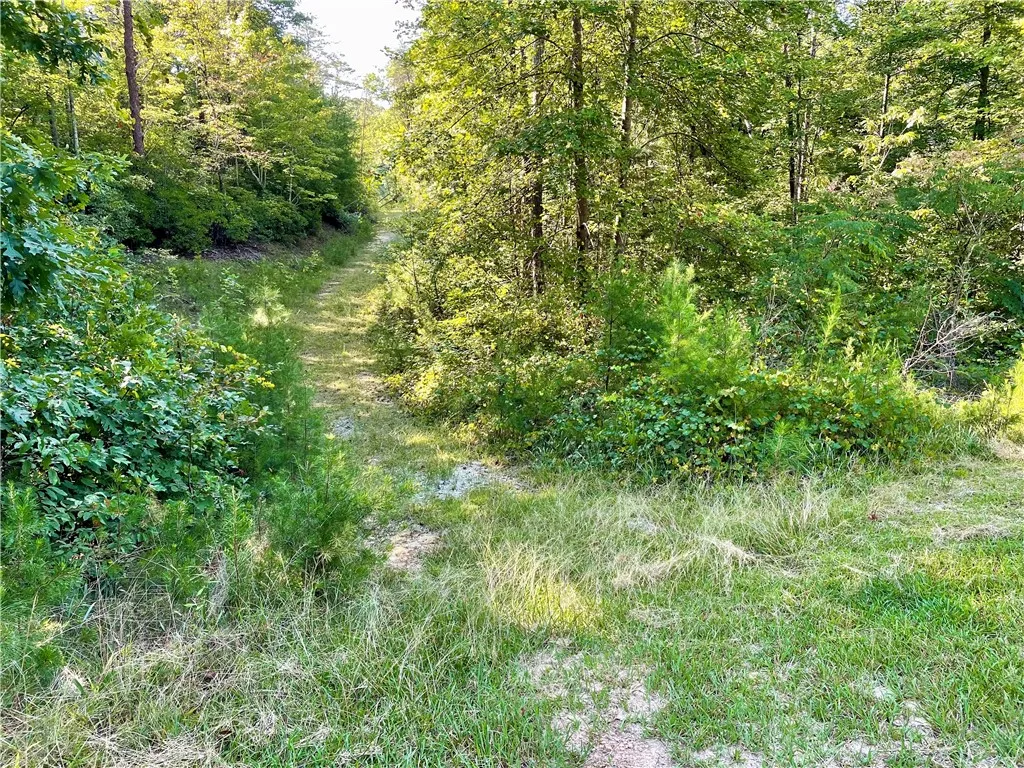 Property image 2 at 0 Stoney Creek Trail, Salem, SC 29676