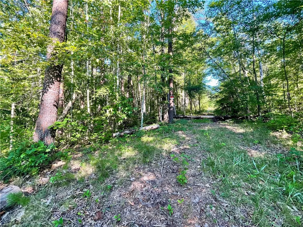Property image 4 at 0 Stoney Creek Trail, Salem, SC 29676
