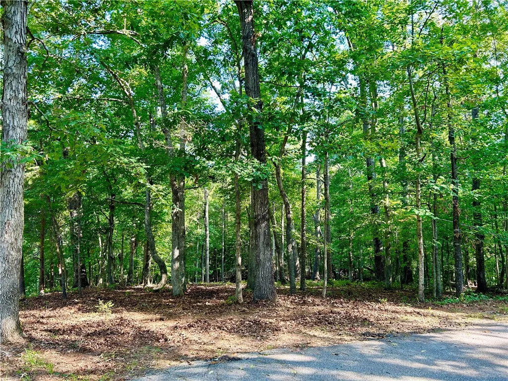 Property image 2 at 603 Hickory Trail, Westminster, SC 29693
