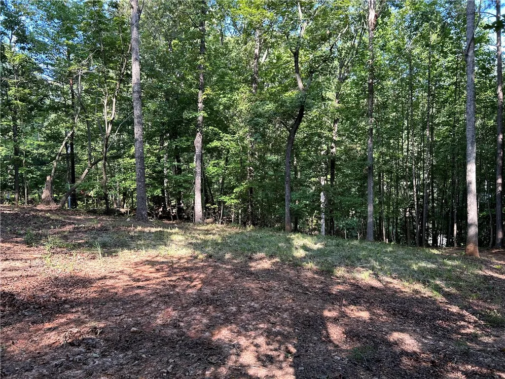 Property image 4 at 603 Hickory Trail, Westminster, SC 29693