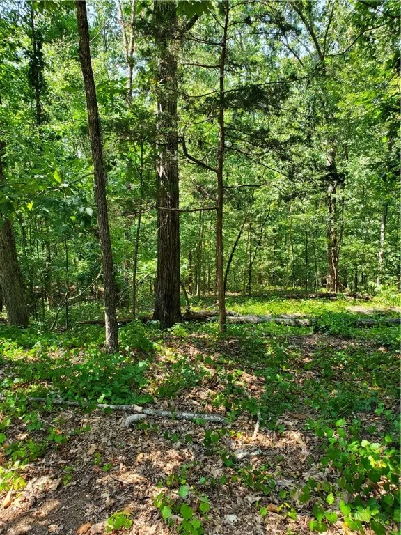 Property image 5 at Lot 6 9 10 E Lakeshore Drive, Fair Play, SC 29643