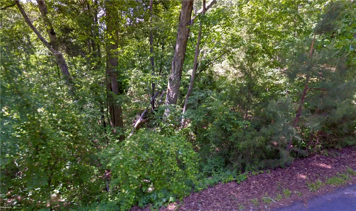 Property image 3 at Lot 9 Lakeshore Drive, Fair Play, SC 29643