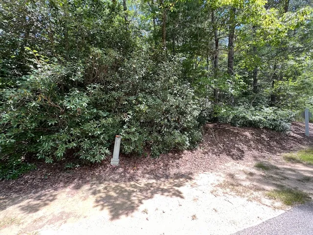 Property image 3 at Lot 71 Edgewater Point, Salem, SC 29676