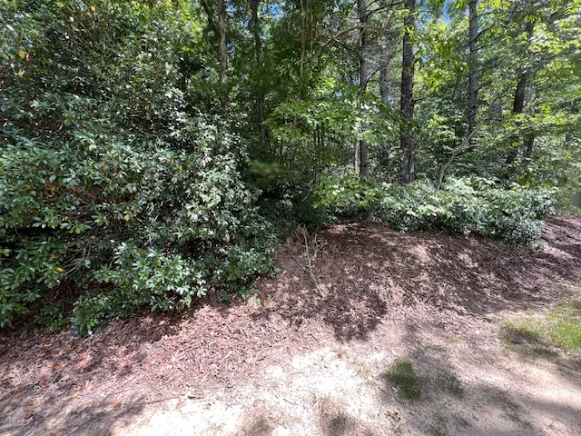 Property image 4 at Lot 71 Edgewater Point, Salem, SC 29676