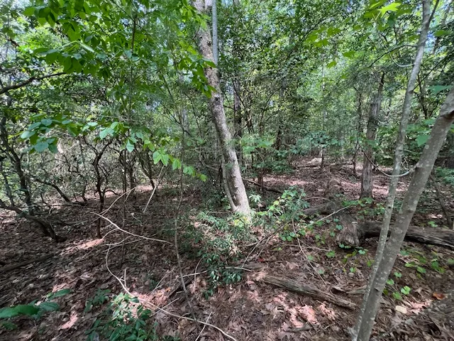 Property image 5 at Lot 71 Edgewater Point, Salem, SC 29676