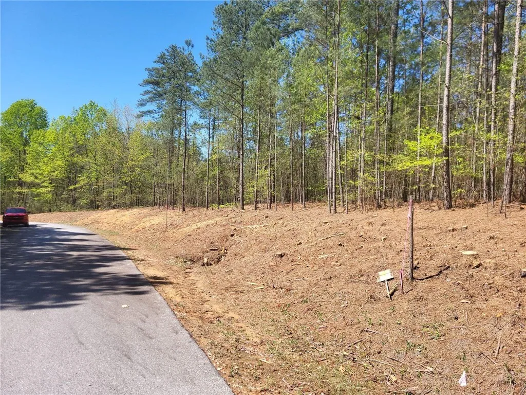 Property image 1 at Lot E 25 Pine Ridge Way, Salem, SC 29676