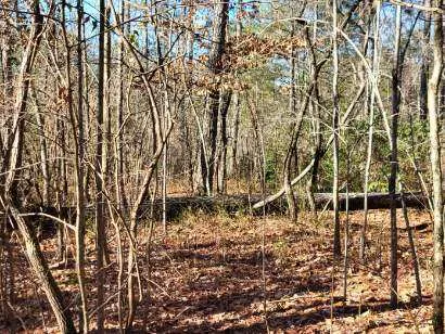 Property image 4 at Lot E 25 Pine Ridge Way, Salem, SC 29676