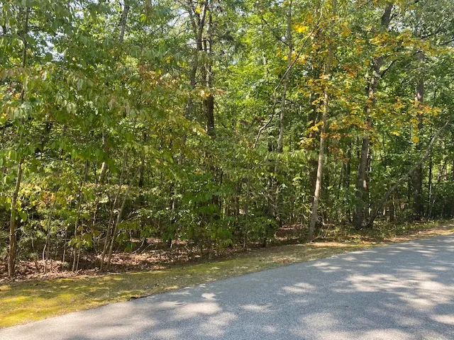 00 Turtlehead Drive