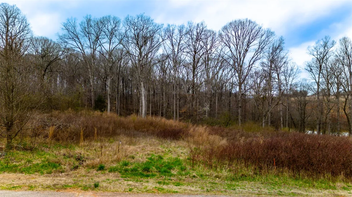 Property image 3 at 435 Arrowhead Lake Trail, Westminster, SC 29693