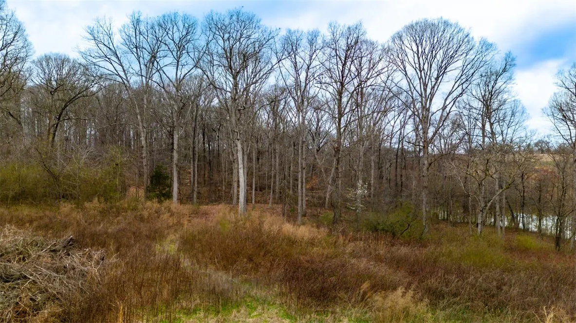 Property image 4 at 435 Arrowhead Lake Trail, Westminster, SC 29693