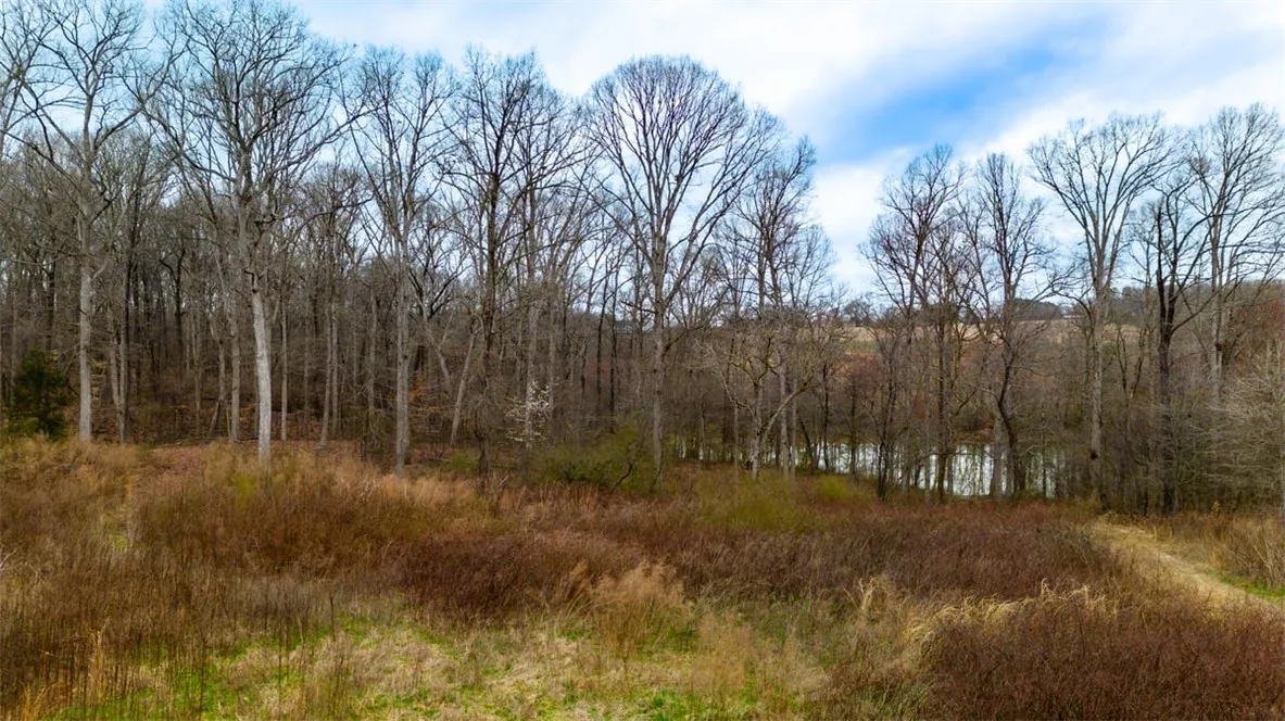 Property image 5 at 435 Arrowhead Lake Trail, Westminster, SC 29693