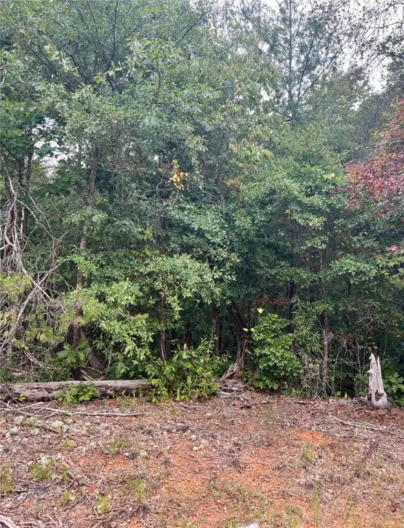 Property image 2 at Lot 113 Hidden Lake Drive, Anderson, SC 29625