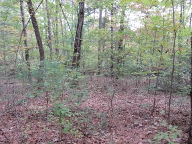 Property image 5 at 305 Whispering Falls Drive, Pickens, SC 29671