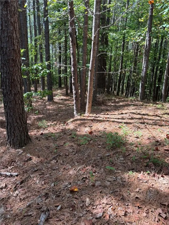 Property image 3 at 420 S Point Boulevard, Sunset, SC 29685