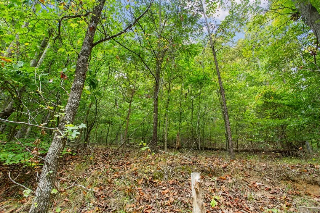 Property image 2 at 00 S Sundew Drive, Westminster, SC 29693