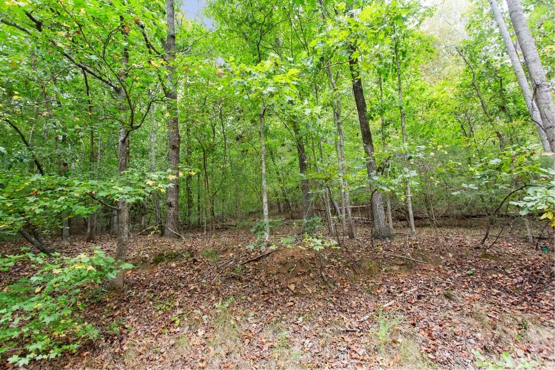 Property image 4 at 00 S Sundew Drive, Westminster, SC 29693