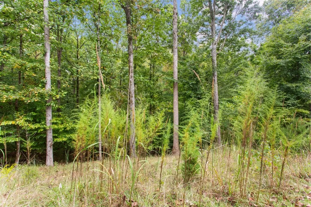 Property image 3 at 00 Parnassus Drive, Westminster, SC 29693
