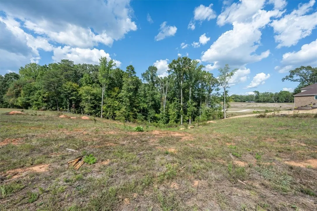 Woodlands at Topsail, Anderson Community