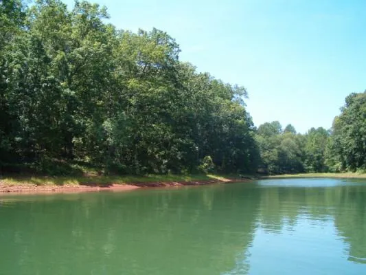 Tugaloo Bay, Lavonia Community
