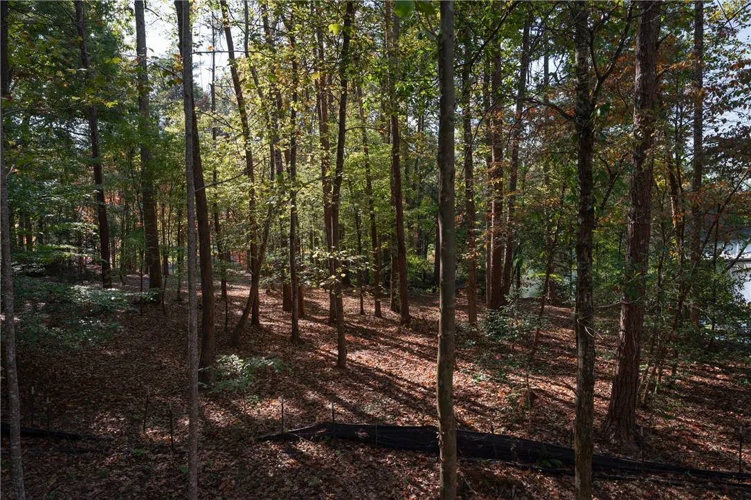 Property image 2 at Lot 13 Village View Drive, Sunset, SC 29685